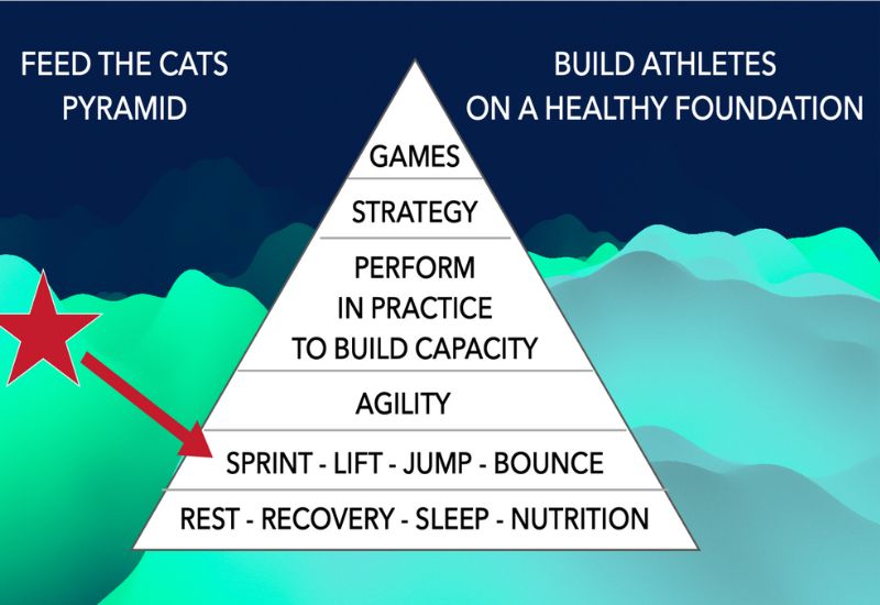 Feed the Cats Pyramid