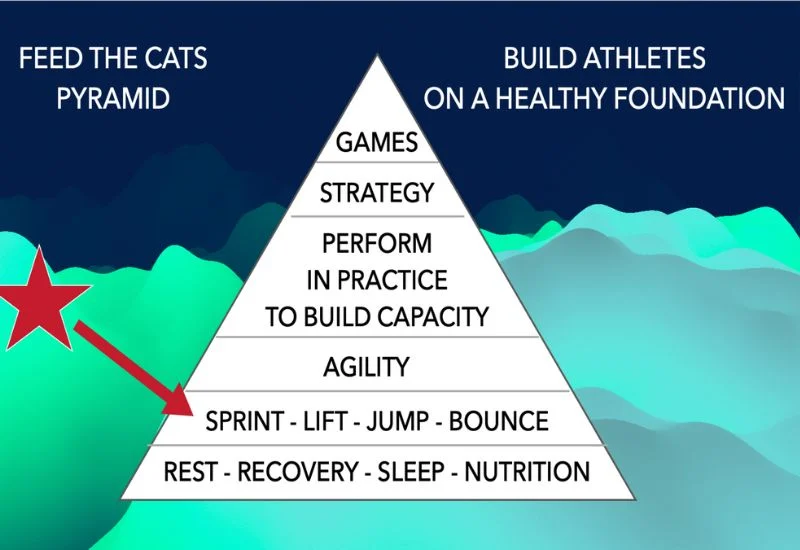 Feed the Cats Pyramid