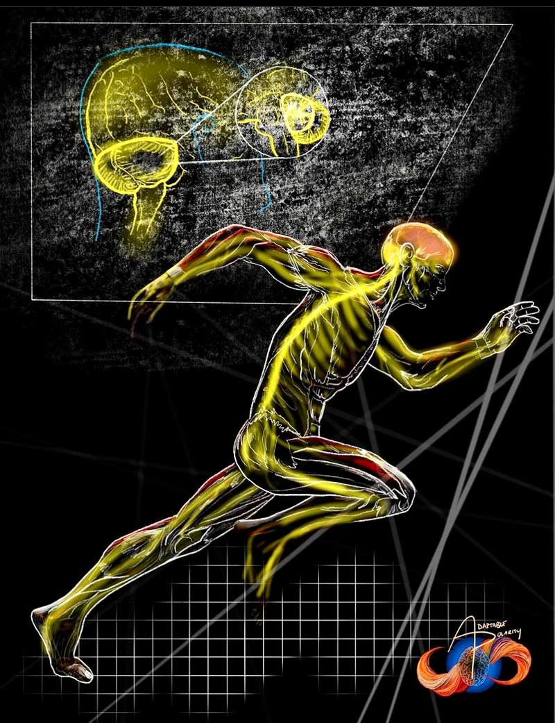 Fascia Motion