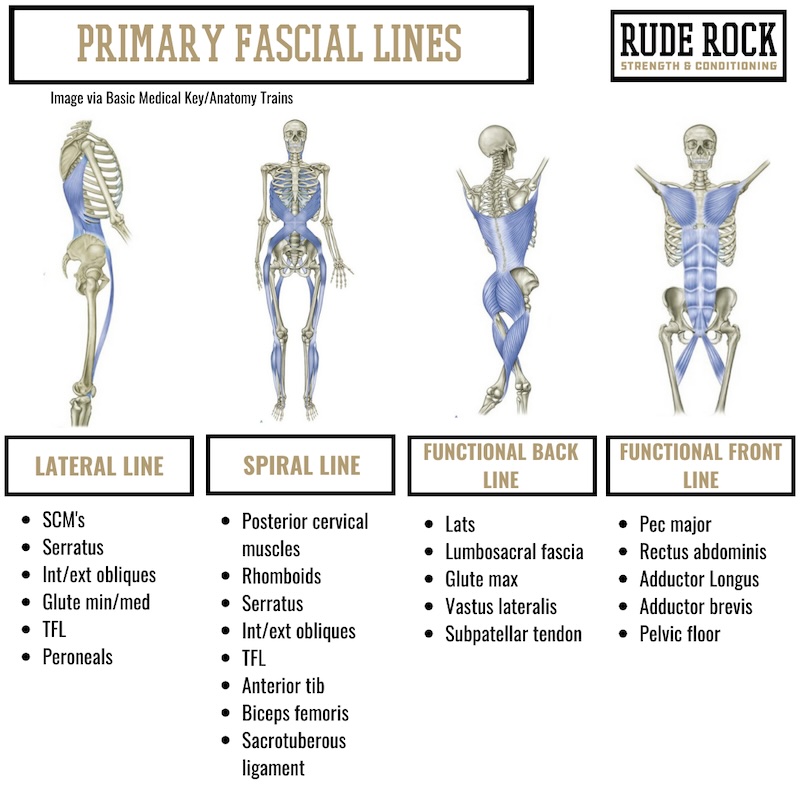 Fascia Framework