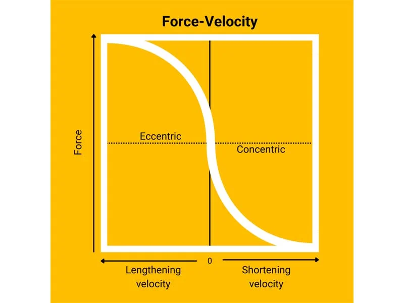 Force-Velocity
