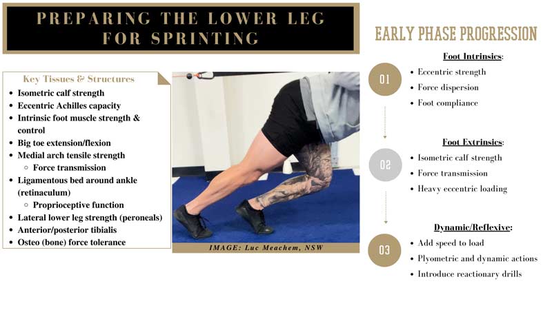 Lower Leg