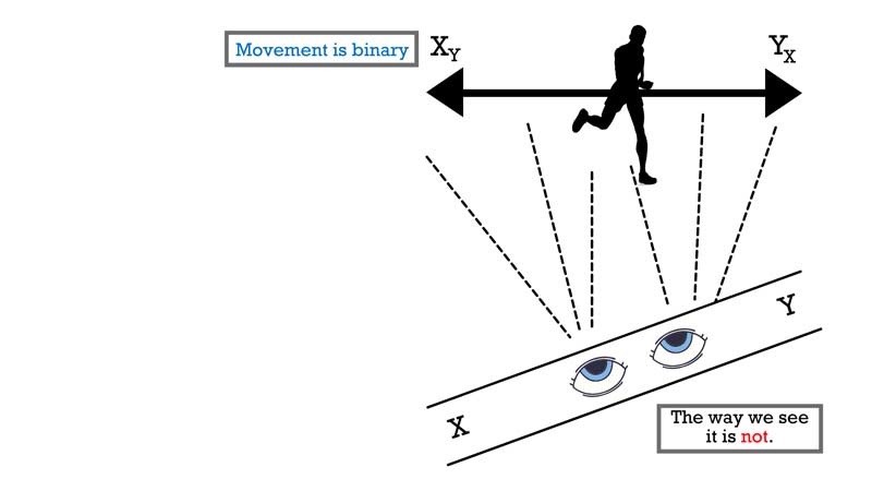 Movement Perspective