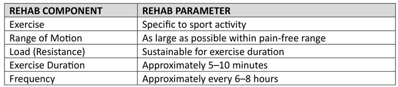 Rehab Components