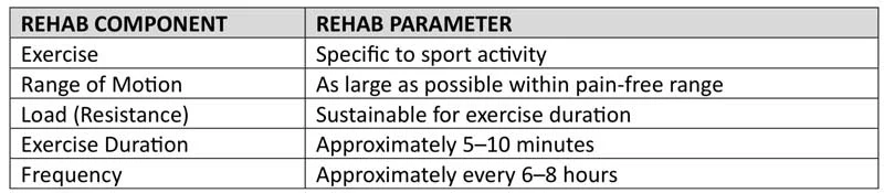Rehab Components