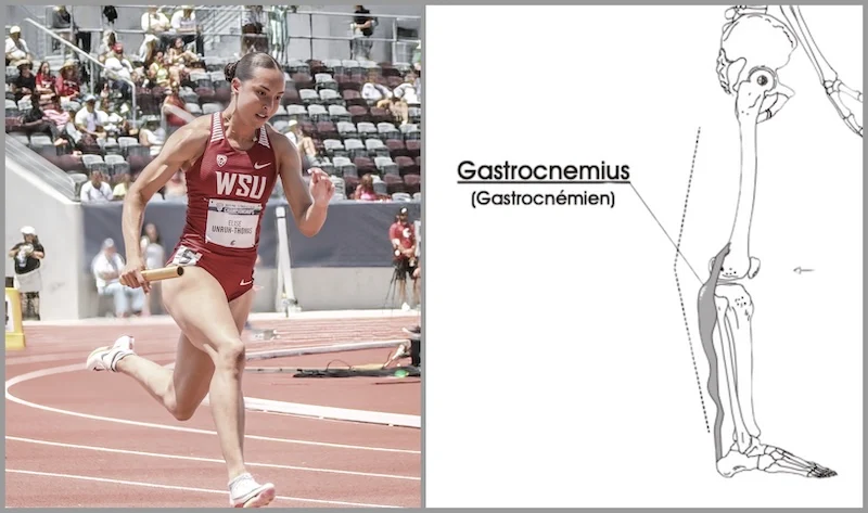 WSU Sprinter