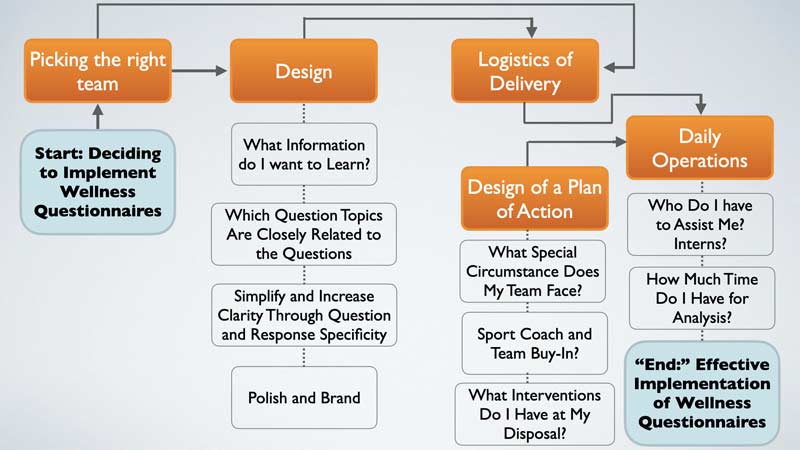 Wellness Decision Flow