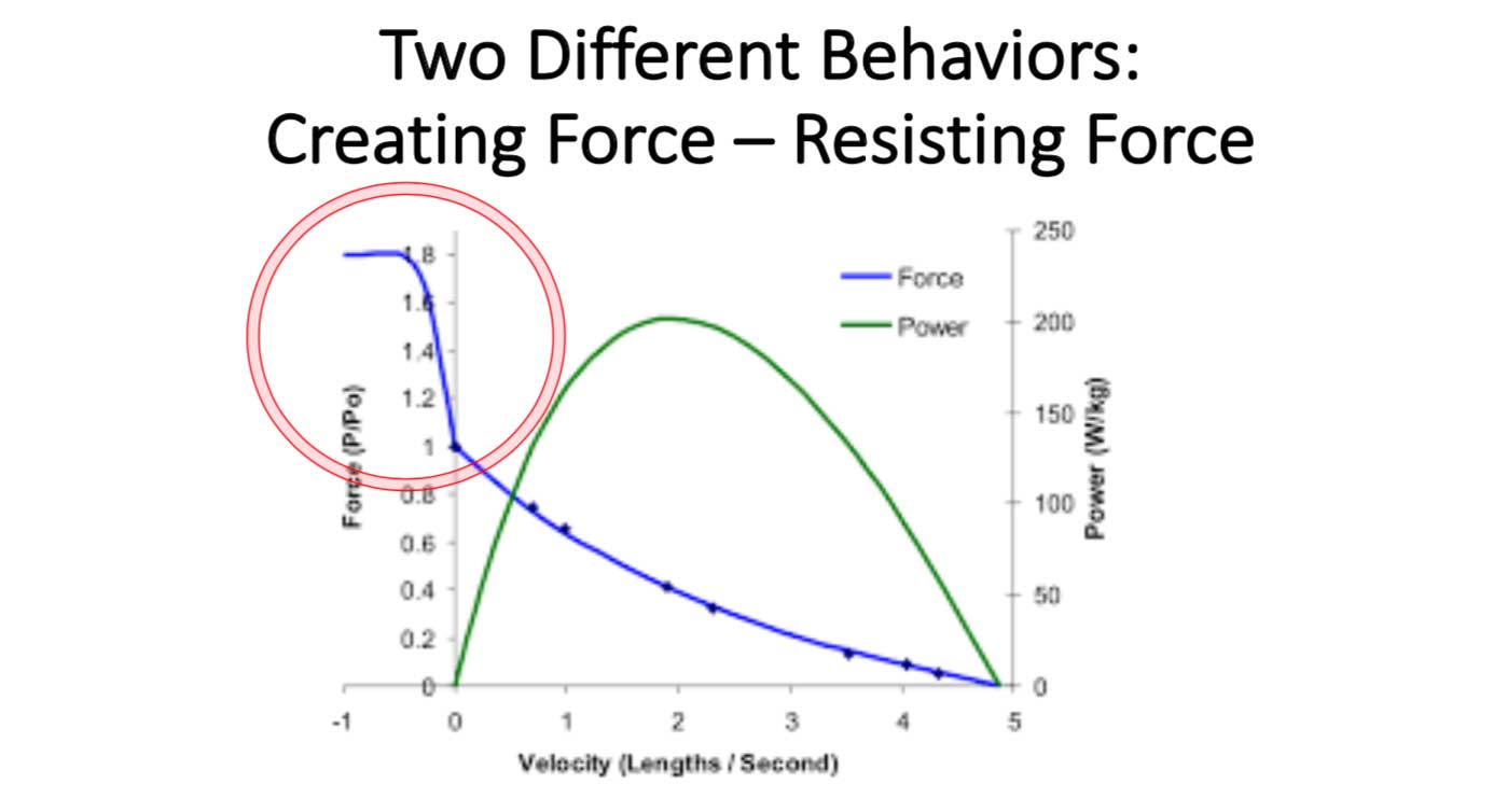 Creating Force Resisting Force