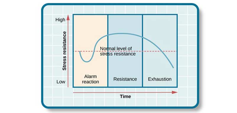 General Adaptation Syndrom