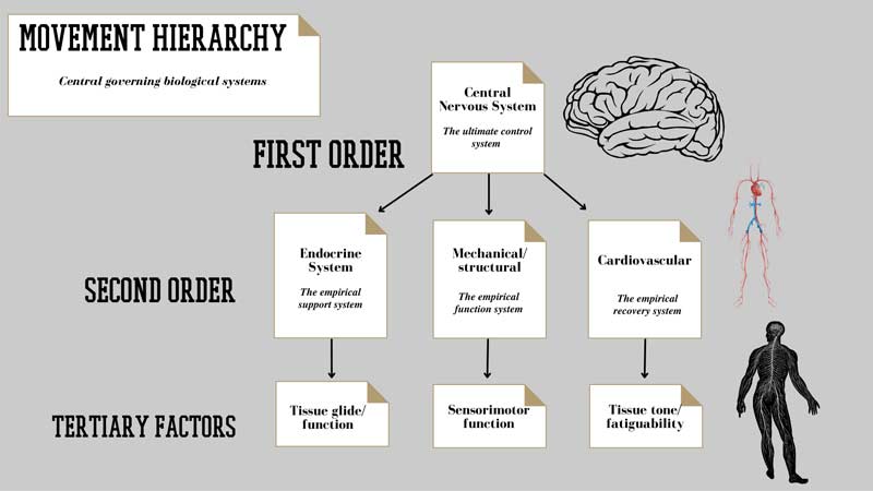Movement Hierarchy