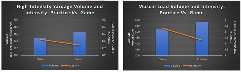 Muscle Loads