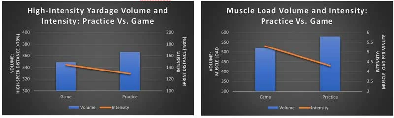 Muscle Loads