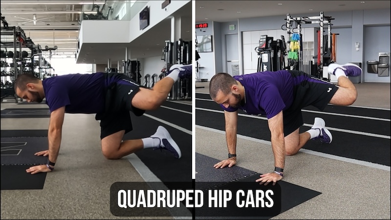 Quadruped Hip Cars