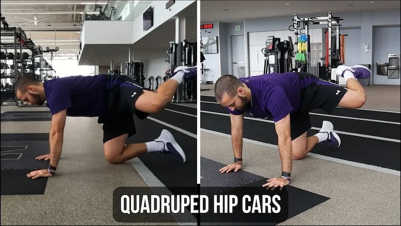 Quadruped Hip Cars