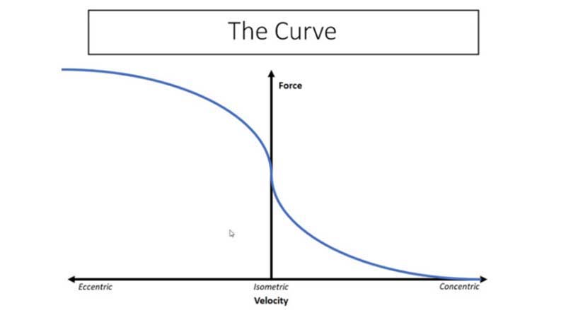 Force Velocity Curve