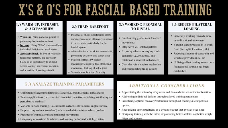 Fascia Training