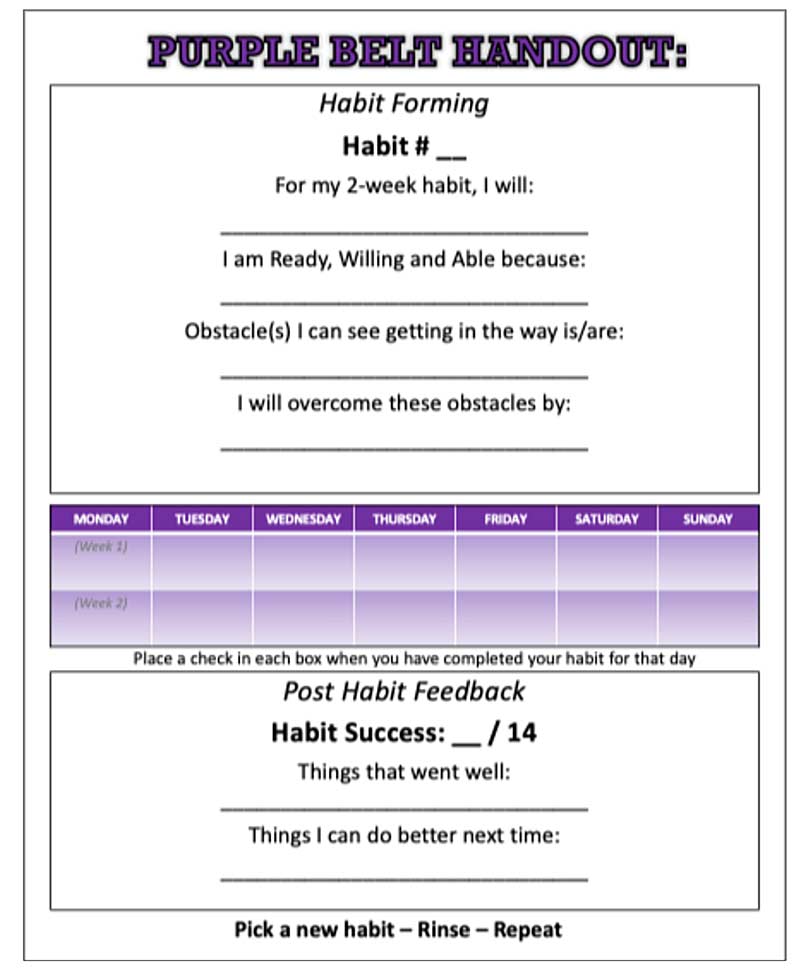 Purple Belt Handout