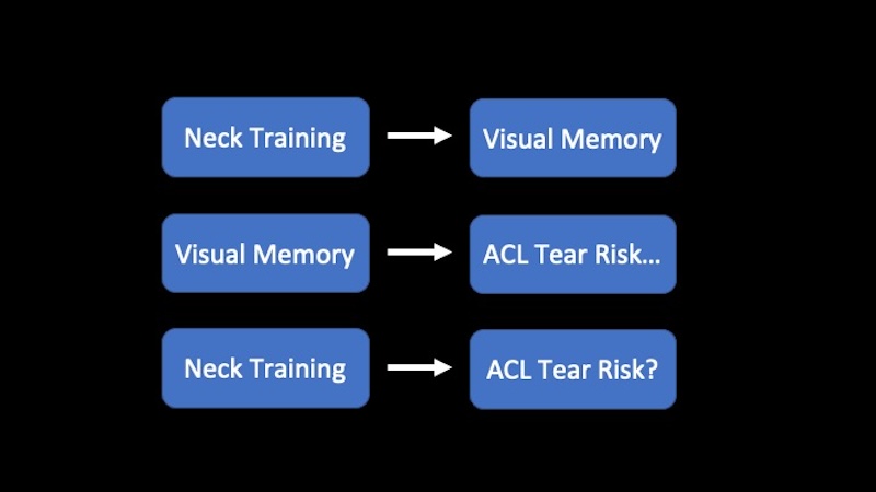 Neck Training Correlations