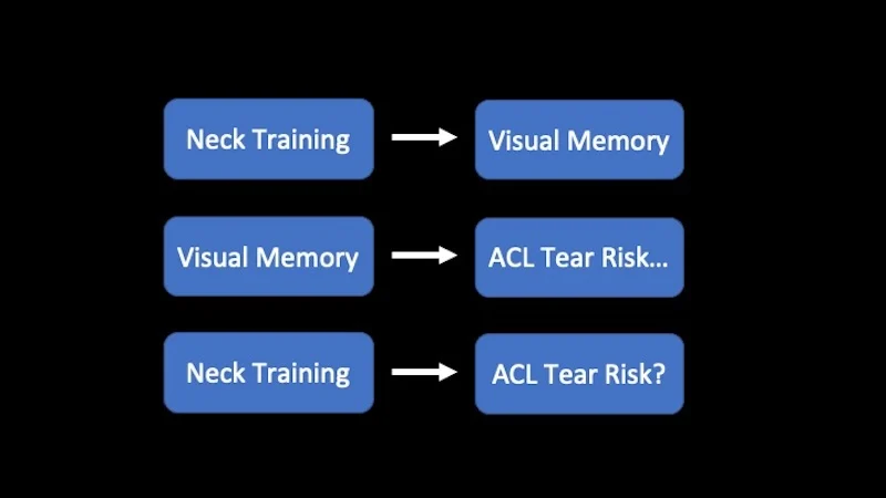 Neck Training Correlations