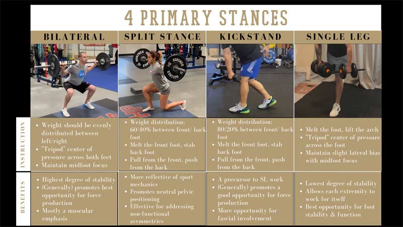Main Stances