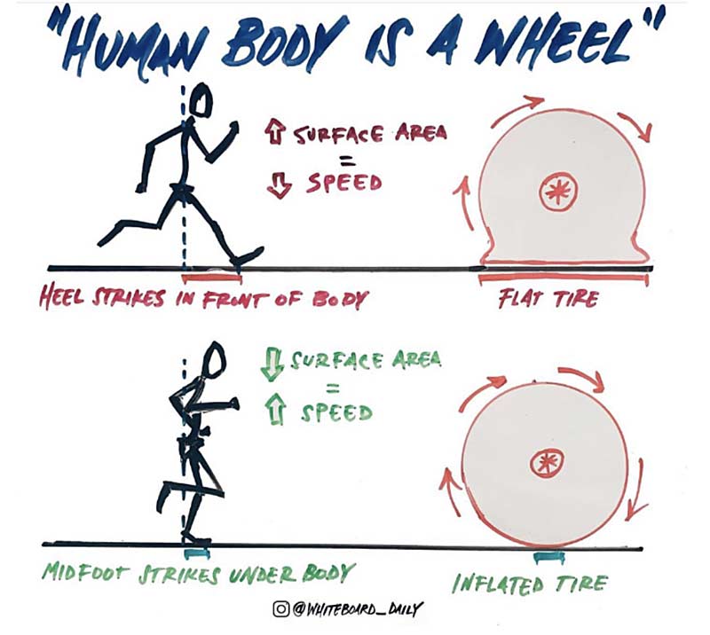 Body Wheel
