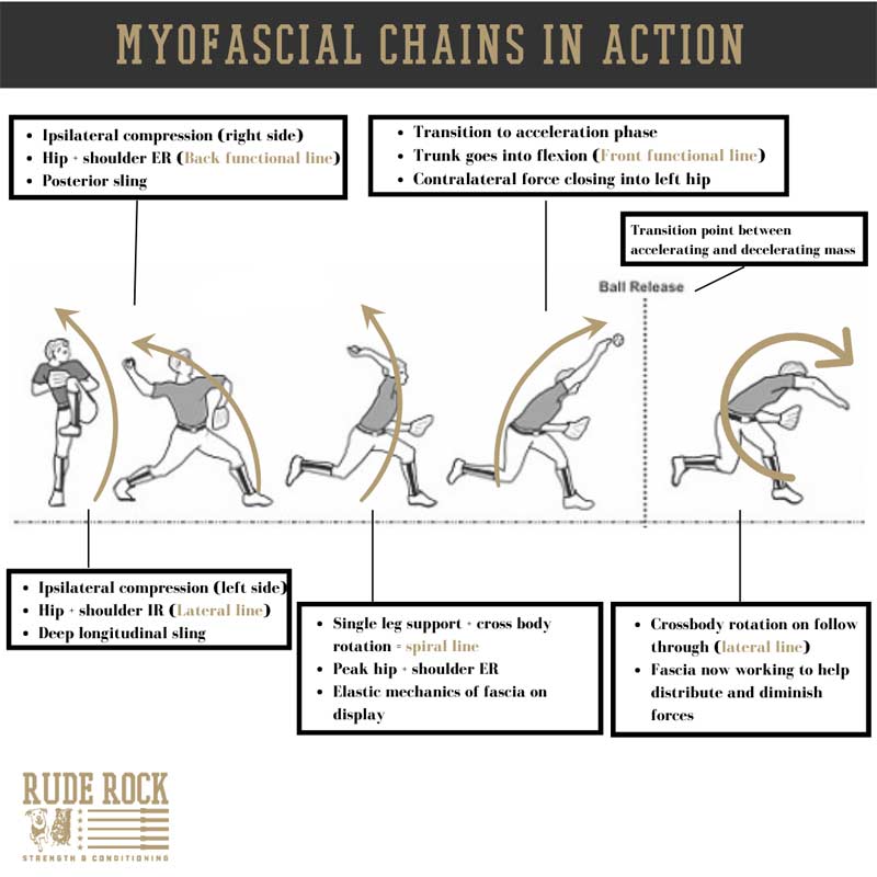 Myfascial Action