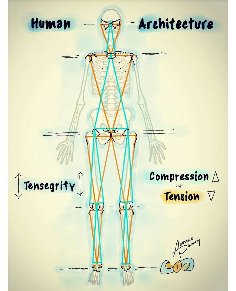 Fascia Art