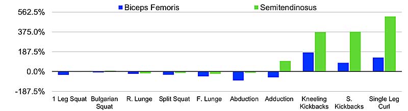 Hamstring Group