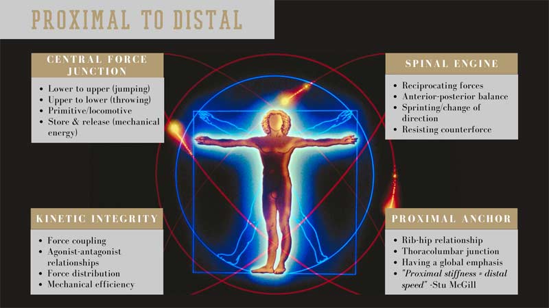 Proximal Distal