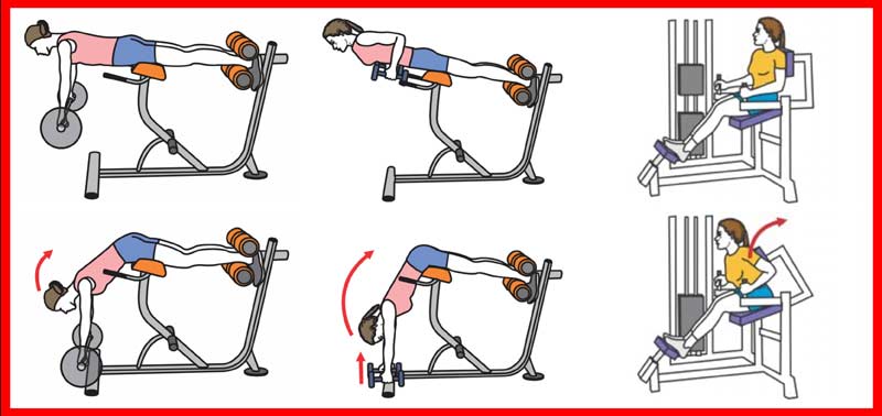 Back Extensions Diagrams