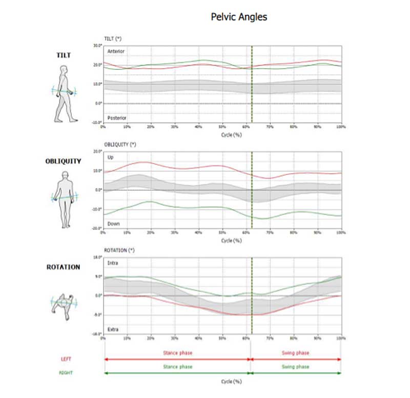 Pelvic Assessments