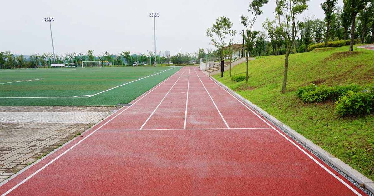 7 Surfaces Coaching