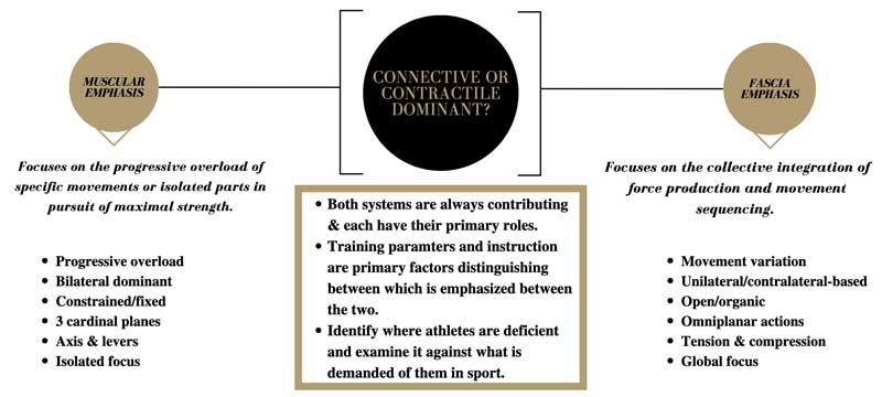 Fascia Infographic