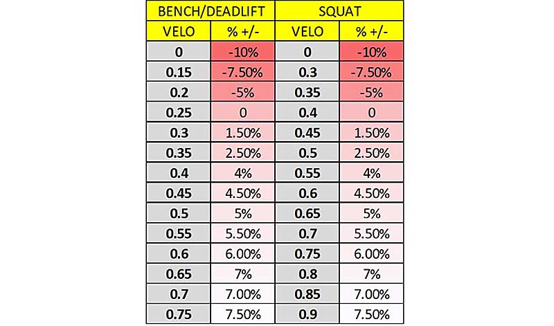 VBT Scale