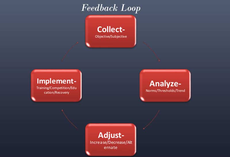 Feedback Loop