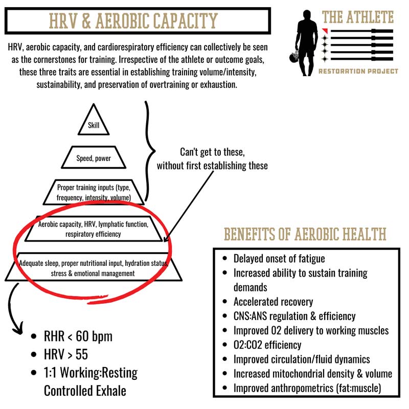 Aerobic Capacity