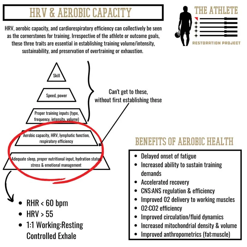 Aerobic Capacity
