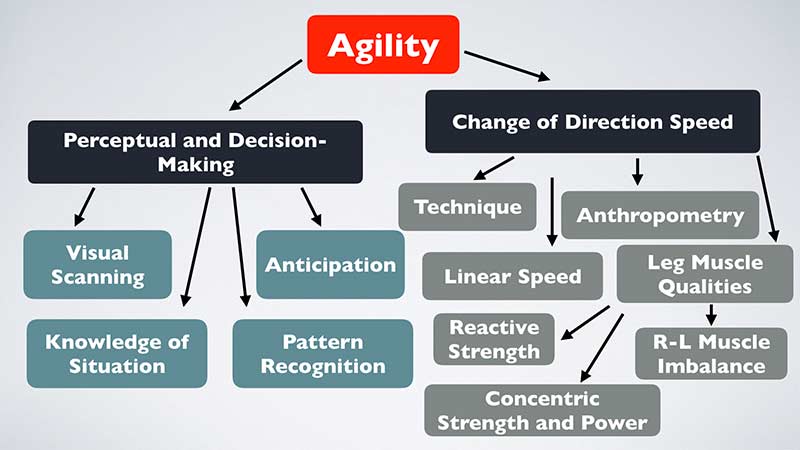 Agility COD Chart