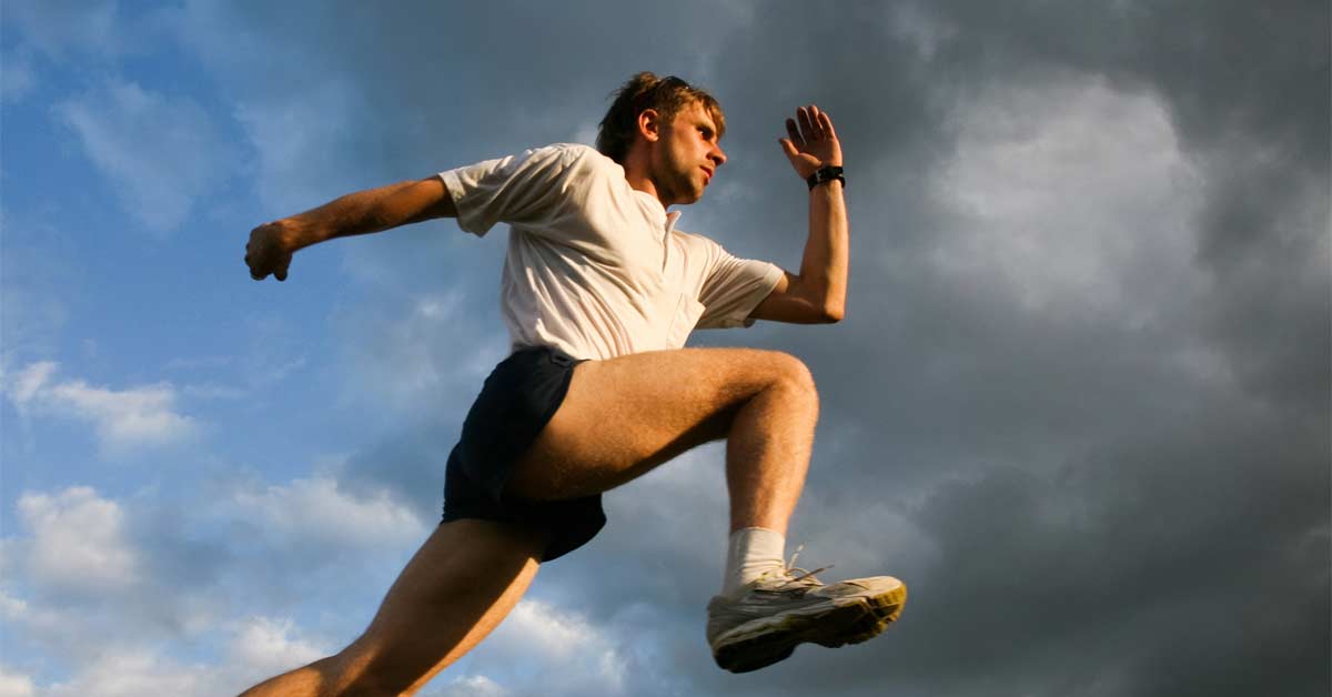 Assise Jumps