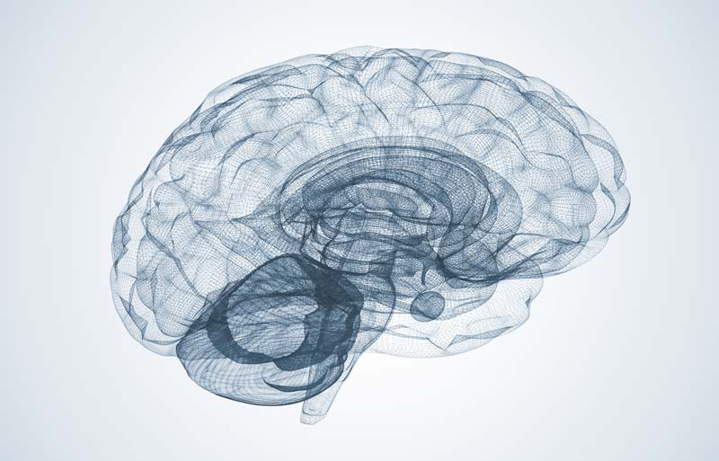 Athlete Brain