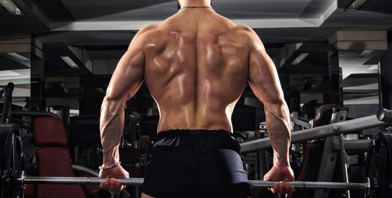 Back Development