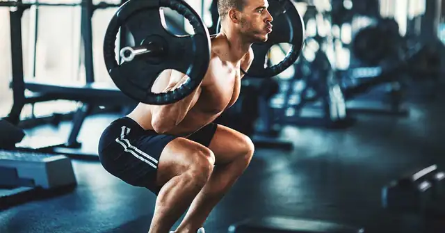 Barbell Squat|Adaptation Continuum