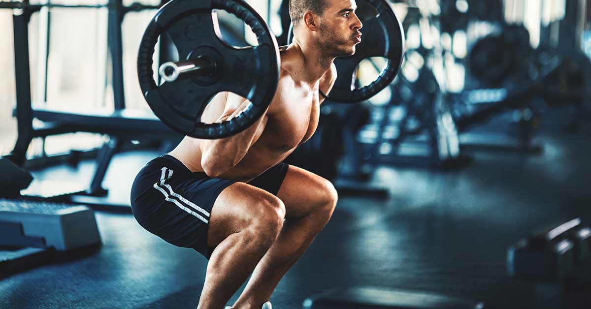 Barbell Squat|Adaptation Continuum