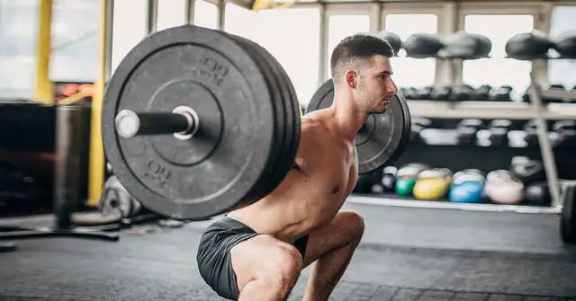 Barbell Squat