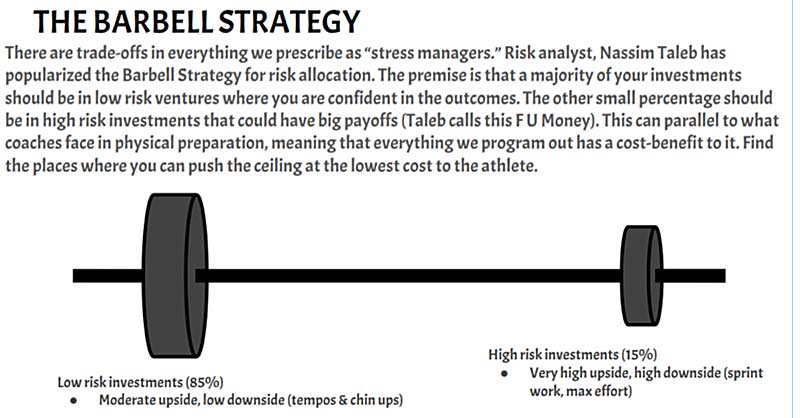 Barbell Strategy