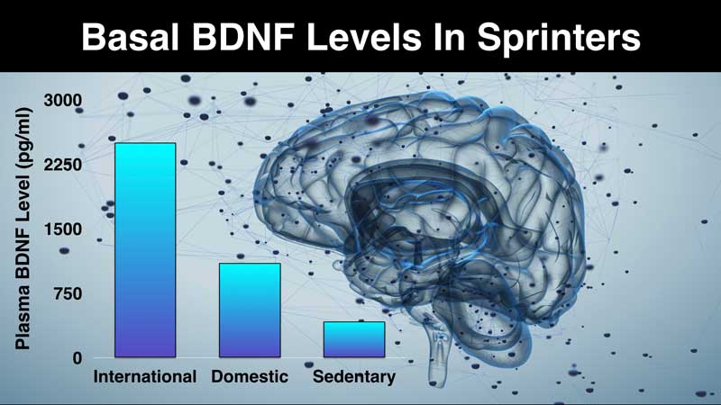 Basal BDNF Levels in Sprinters