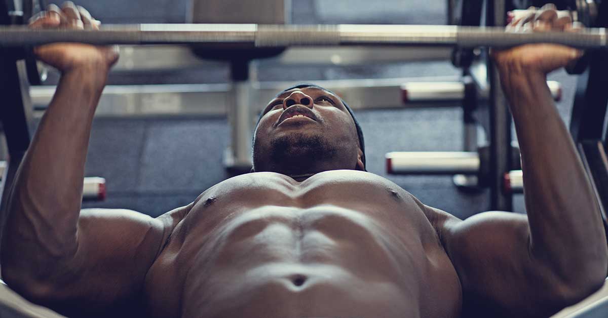 Bench Press|Status Spectrum|Cognitive Momentum Loop|Pata Ladder Table|Pata Athlete Readiness