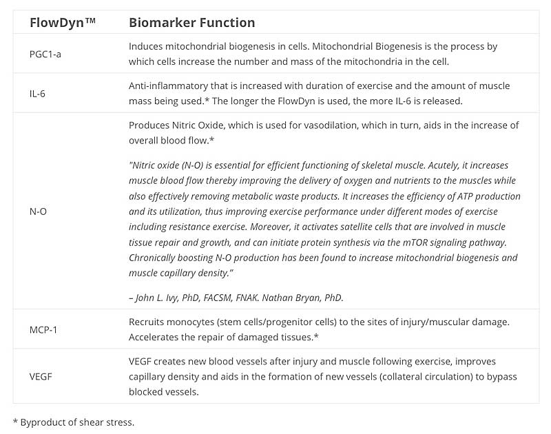 Biochemical Flowdyn