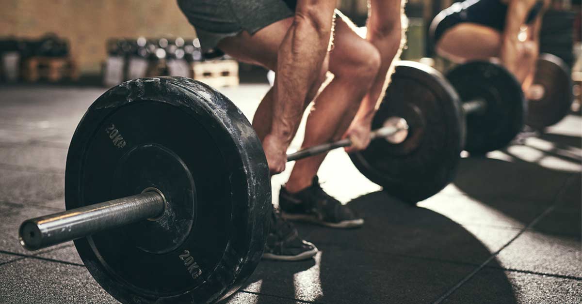 Biomechanics Program Design|Exercise Taxonomy|Load Velocity Duration Chart|Coach in gym cueing his athlete's lifts.|Coaching Biomechanics|Barbell Deadlift Chart|Split Squat Chart|Rotational Medicine Ball Chart