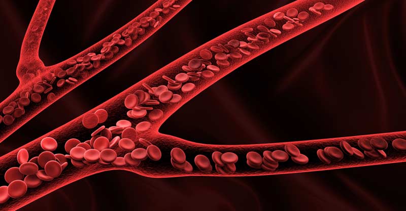 Blood Flow Conditioning